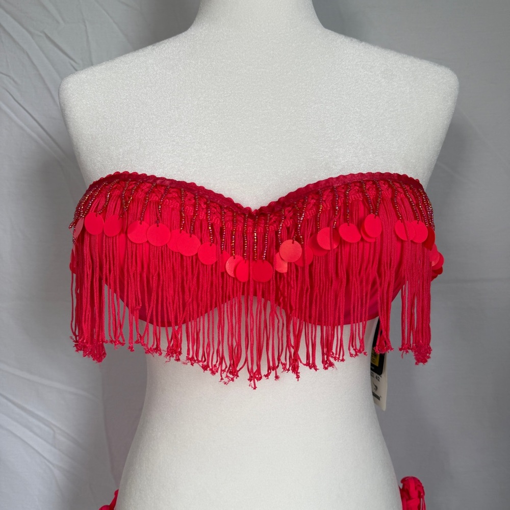 Fringe Sequin Bandeau Bikini